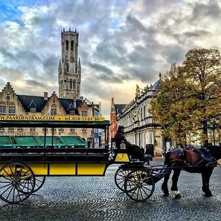 Dijver - Serene Escape In The Heart Of Historic