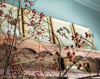 Dijver - Serene Escape In The Heart Of Historic Διαμέρισμα Μπριζ